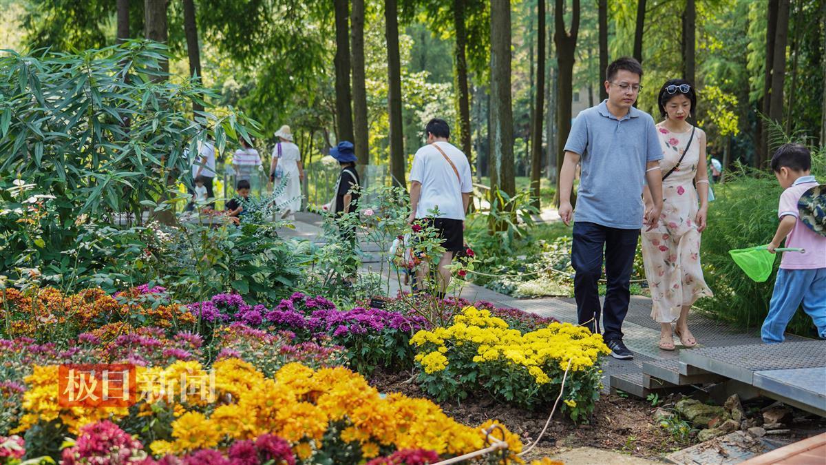 摇钱树捕鱼24小时上下分